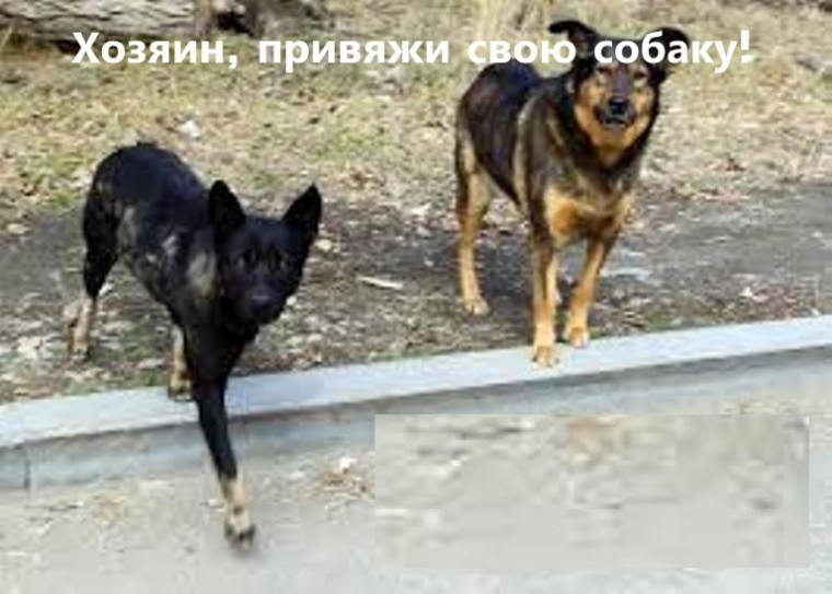 Объявление. Объявление.